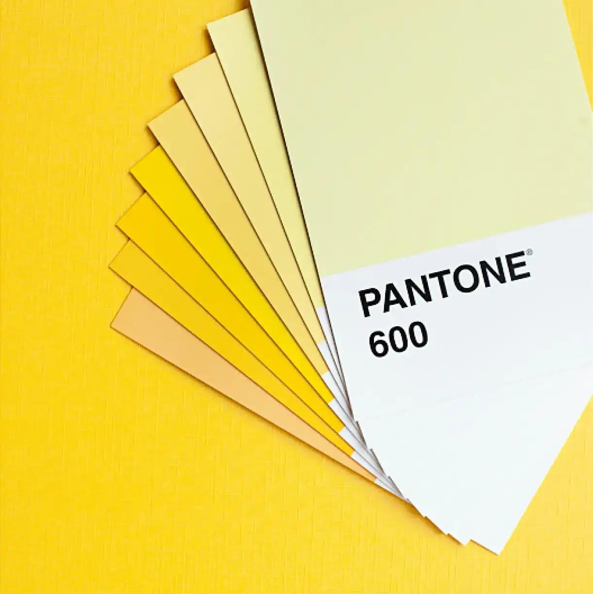 CorporateDesign-Header