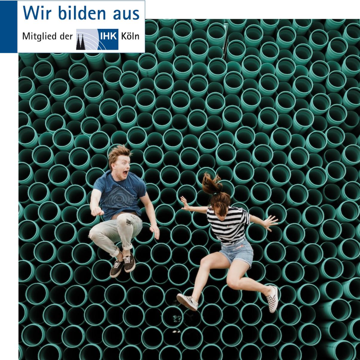 Karriere-Ausbildung